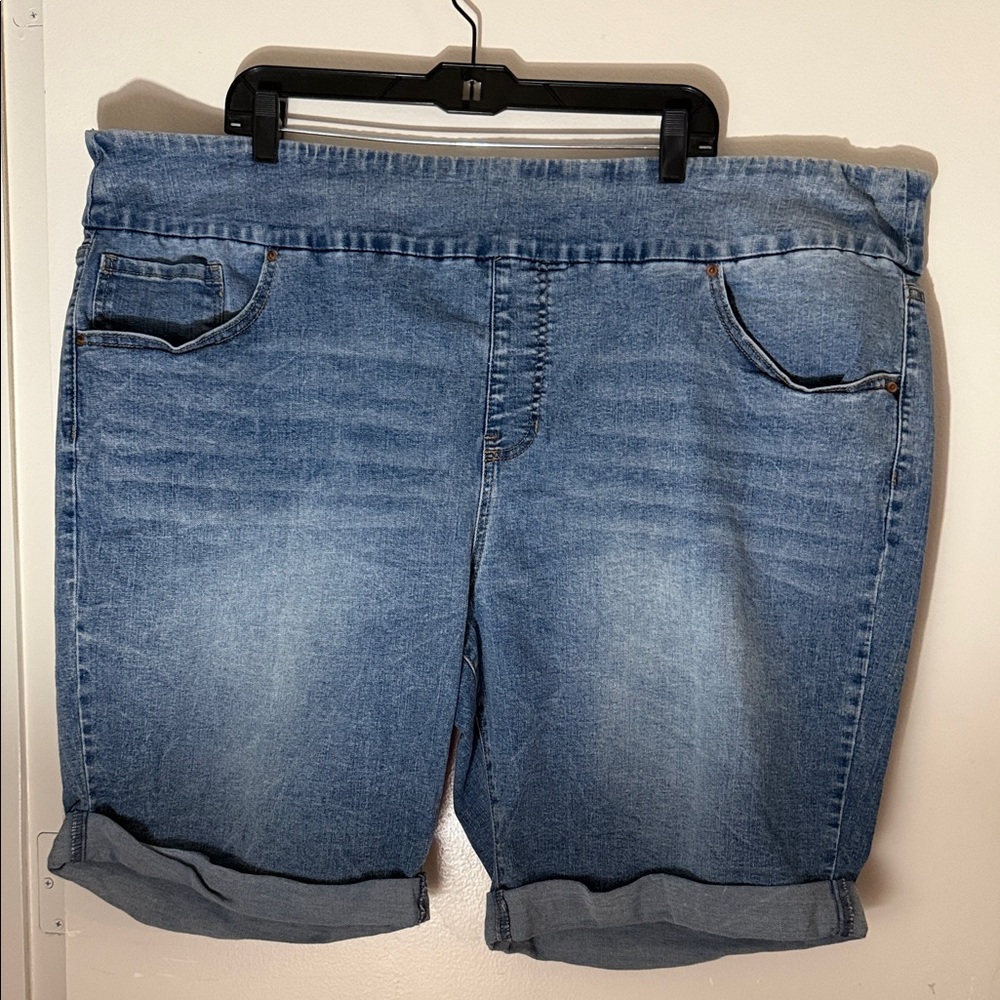 Terra & Sky Women's Blue Jean Shorts
